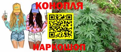 мяу мяу мука Коммунар
