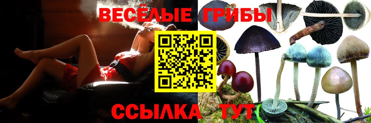 Когалым  что такое   Вход с VPN  Псилоцибиновые грибы Magic Shrooms 